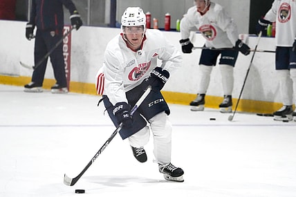 Samoskevich panthers