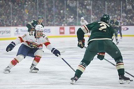 Florida panthers
