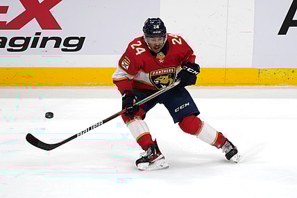 Florida panthers