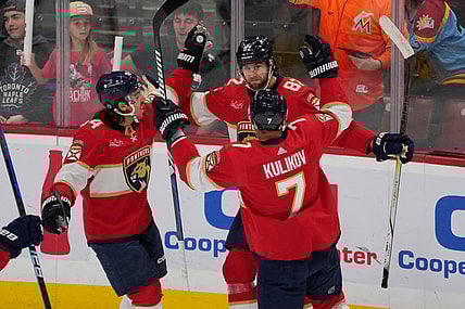 Florida panthers