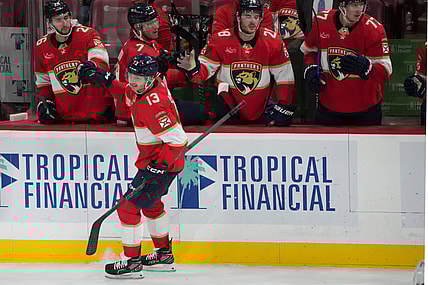 Florida panthers