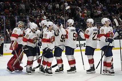 Florida panthers
