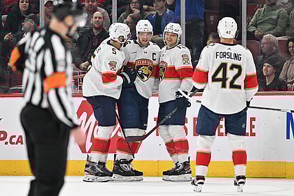 Florida panthers