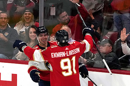 Florida panthers