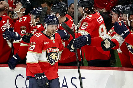 Reinhart panthers