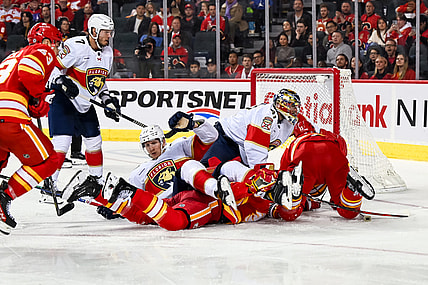 Florida panthers