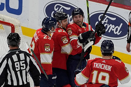 Florida panthers