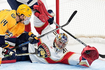 Panthers nashville