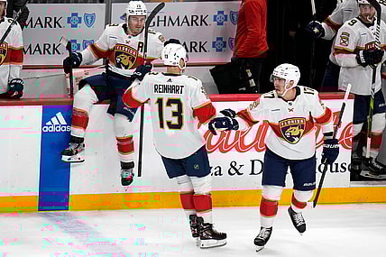 Florida panthers