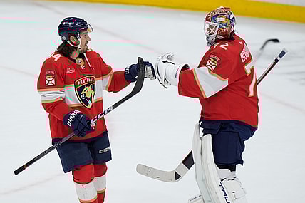 Florida panthers