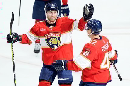 Florida panthers