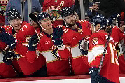 Florida panthers