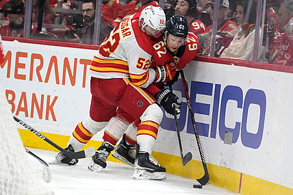Florida panthers