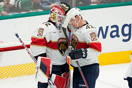 Florida panthers