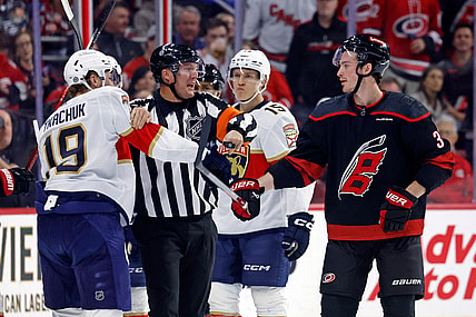Florida panthers