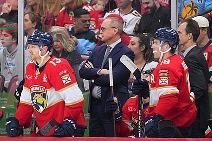 Florida panthers