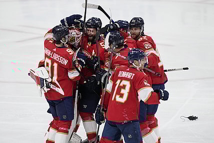 Florida panthers