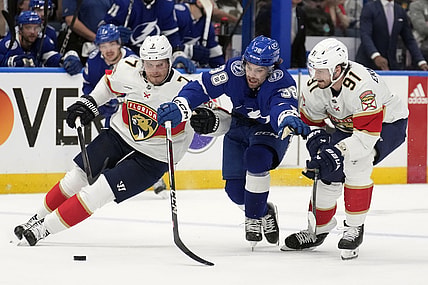 Florida panthers