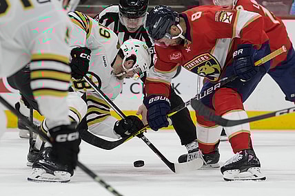 Florida panthers