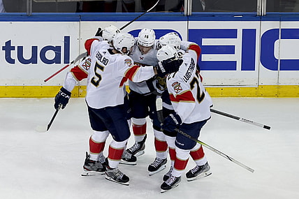 Florida panthers
