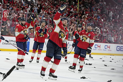 Florida panthers