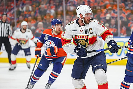 Florida panthers