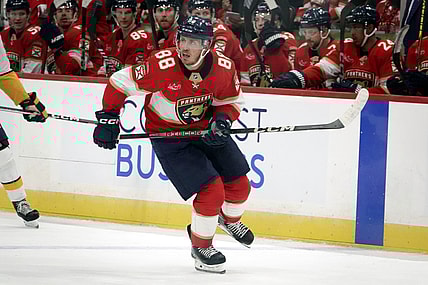 Florida panthers