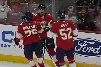 Florida panthers