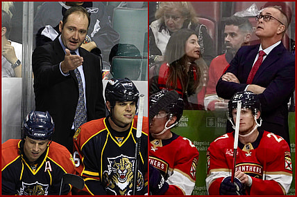 Florida panthers