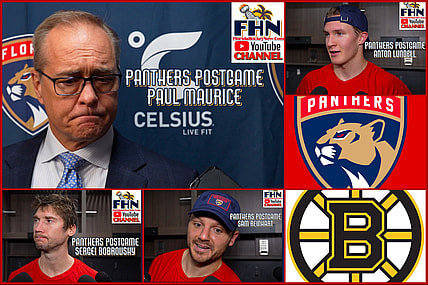 Florida panthers