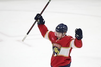 Florida panthers