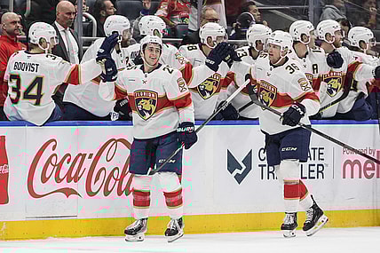Florida panthers