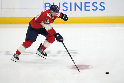 Florida panthers