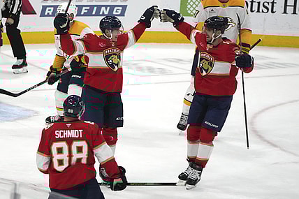 Florida panthers