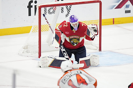 Florida panthers