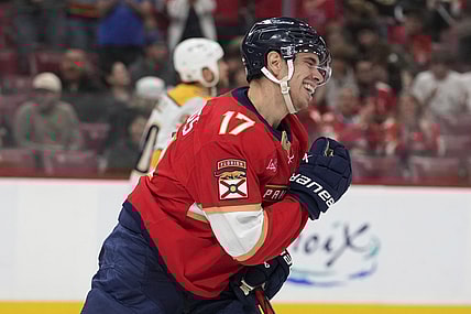Florida panthers