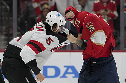 Florida panthers