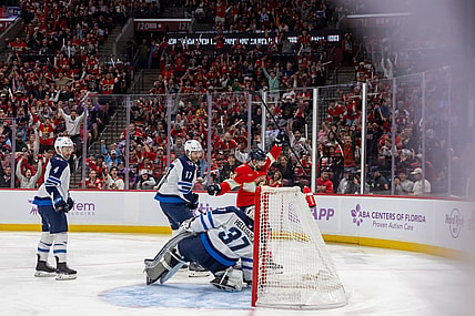 Florida panthers