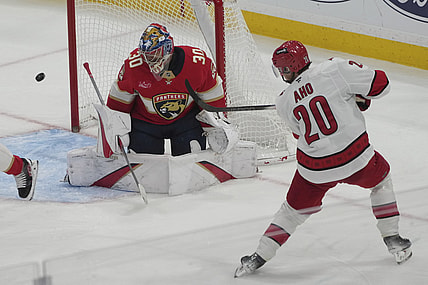 Florida panthers