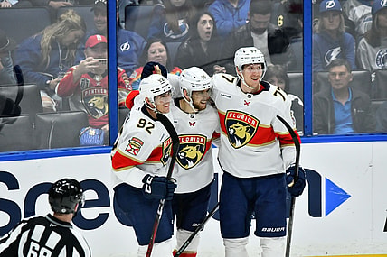 Florida panthers