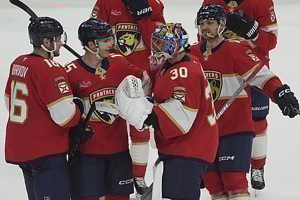 Florida panthers