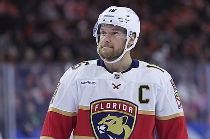 Florida panthers