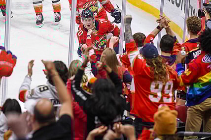 Florida panthers