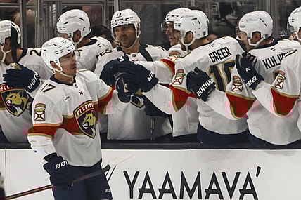 Florida panthers