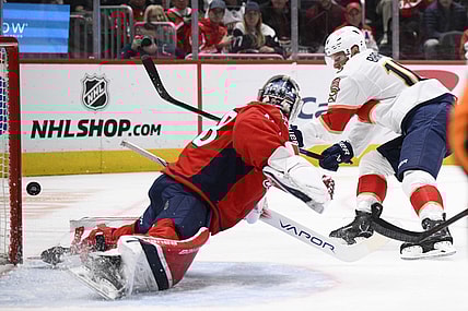 Florida panthers