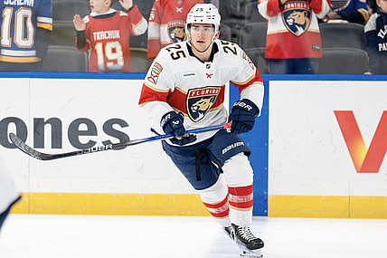 Florida panthers