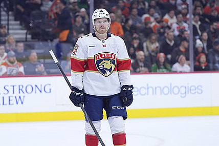 Florida panthers