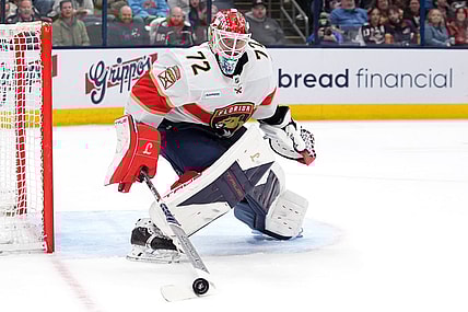 Florida panthers