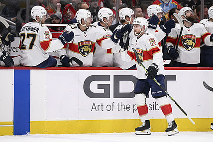 Florida panthers