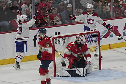 Florida panthers